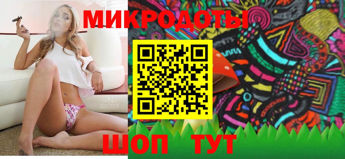 Псилоцибиновые грибы Cubensis Керчь
