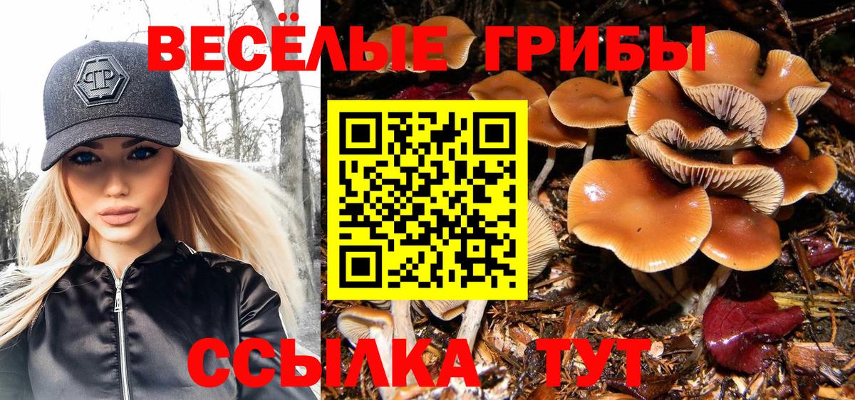 Галлюциногенные грибы GOLDEN TEACHER  Вход с VPN  Керчь 